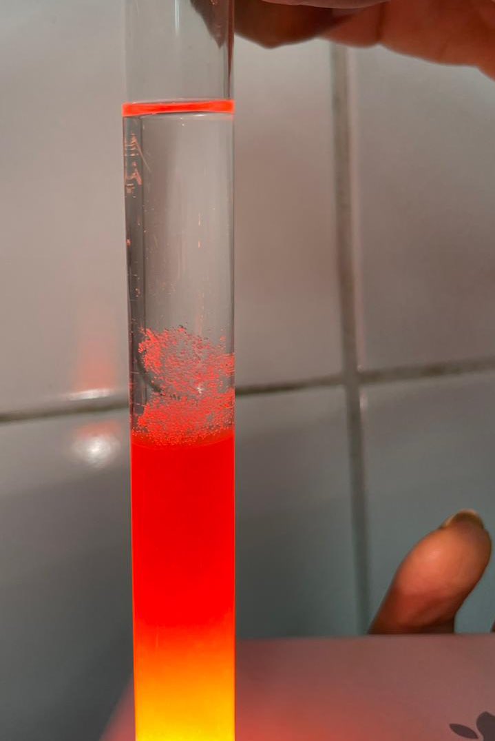 luiza | farmácia 🫧🌷 tweet media