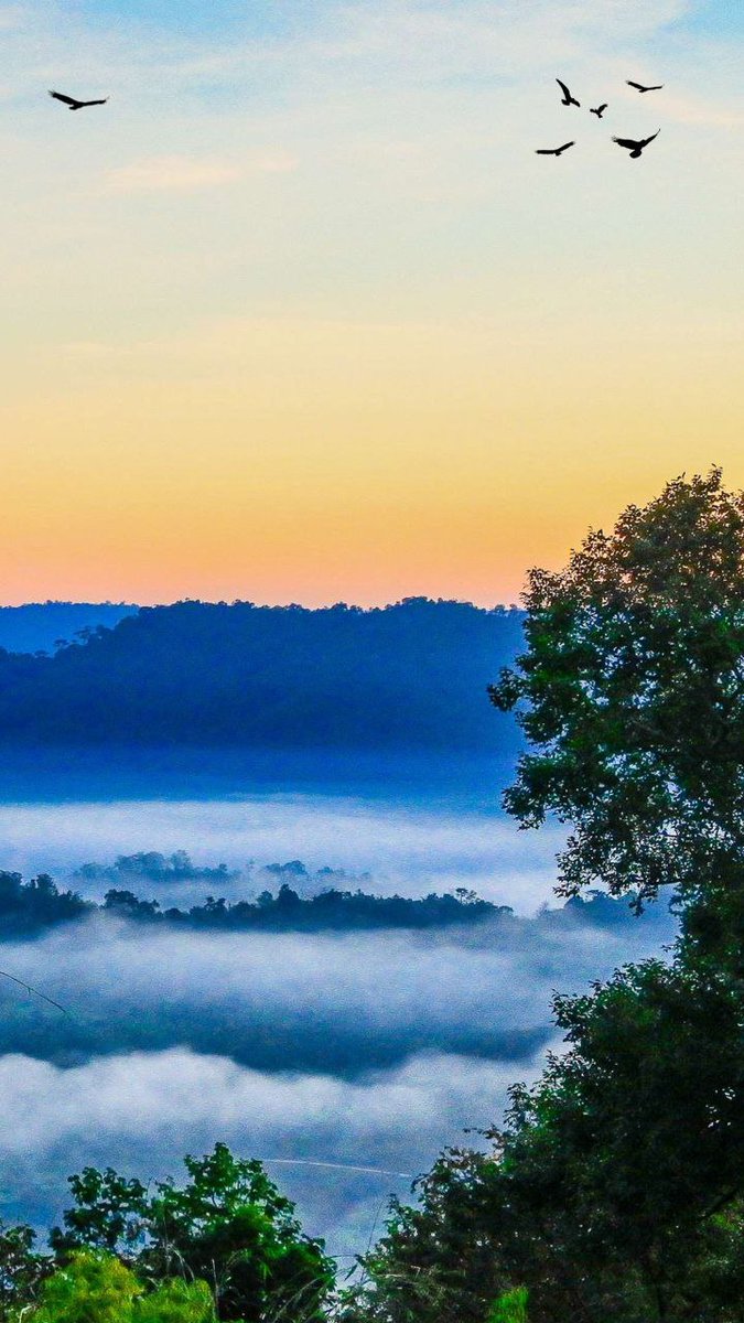 Zahid kh tweet media