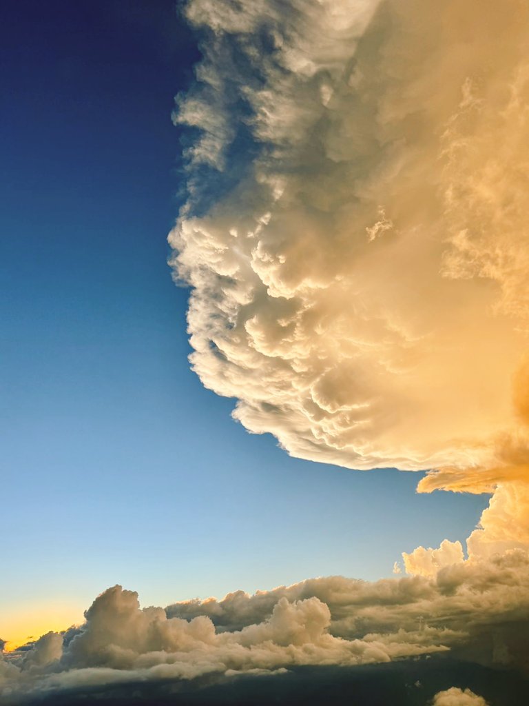 PegasusA4 tweet media