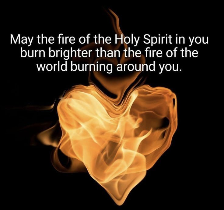 𝕭𝖎𝖗𝖉𝖞 𝖛𝖘 𝕭𝖆𝖇𝖞𝖑𝖔𝖓 tweet media