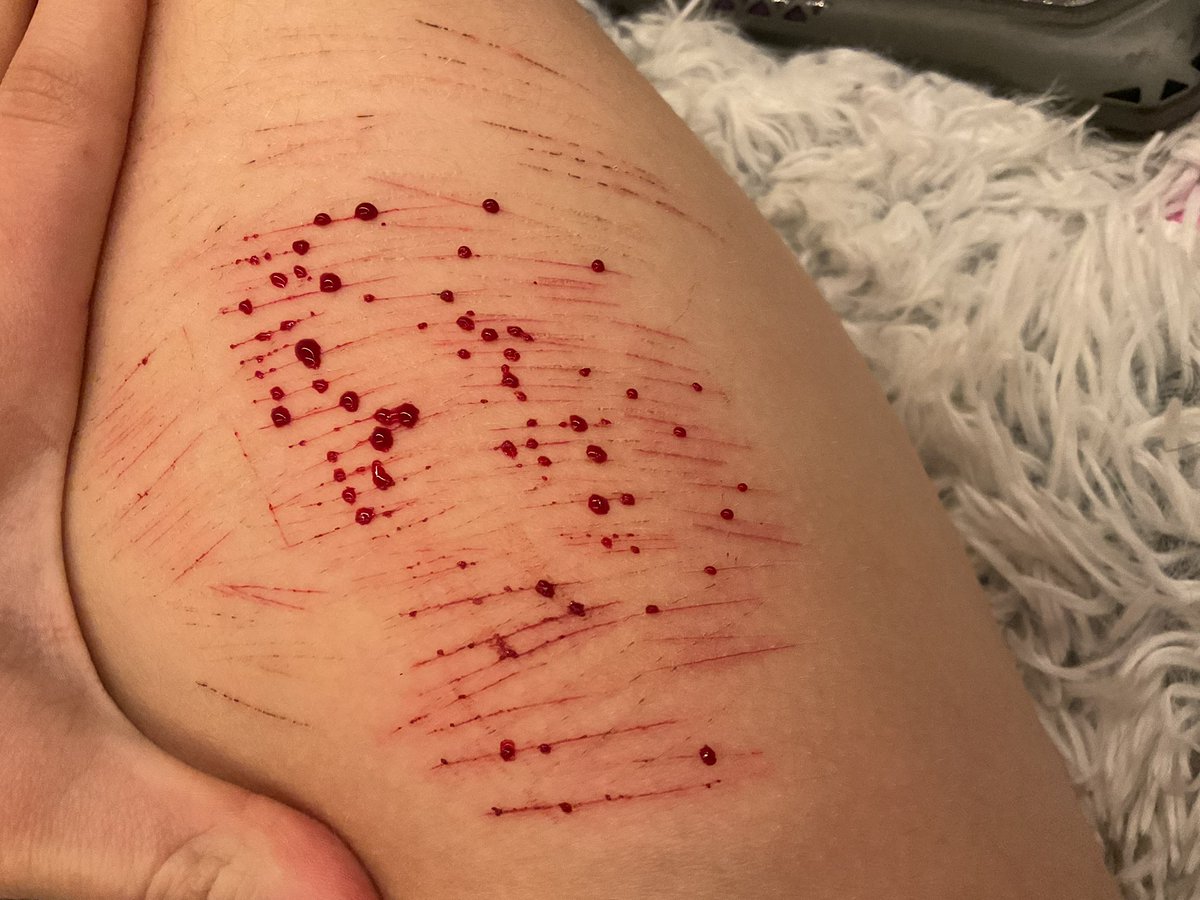 zen !!! (SHED int!) tweet media