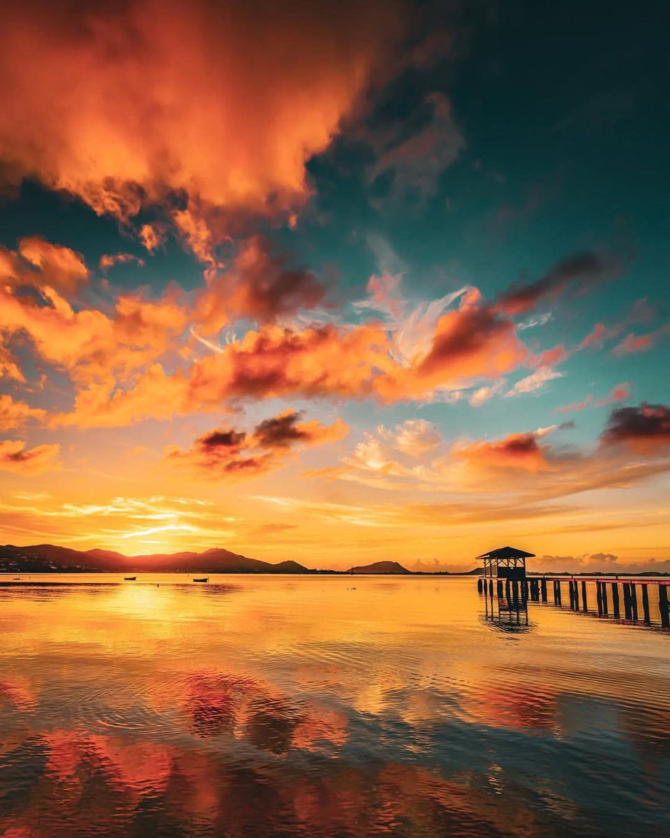 N A T U R E tweet media