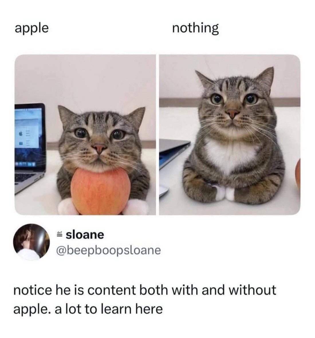 Antidepressant Content tweet media