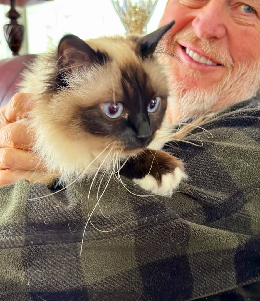 Elizabeth Griffith tweet media