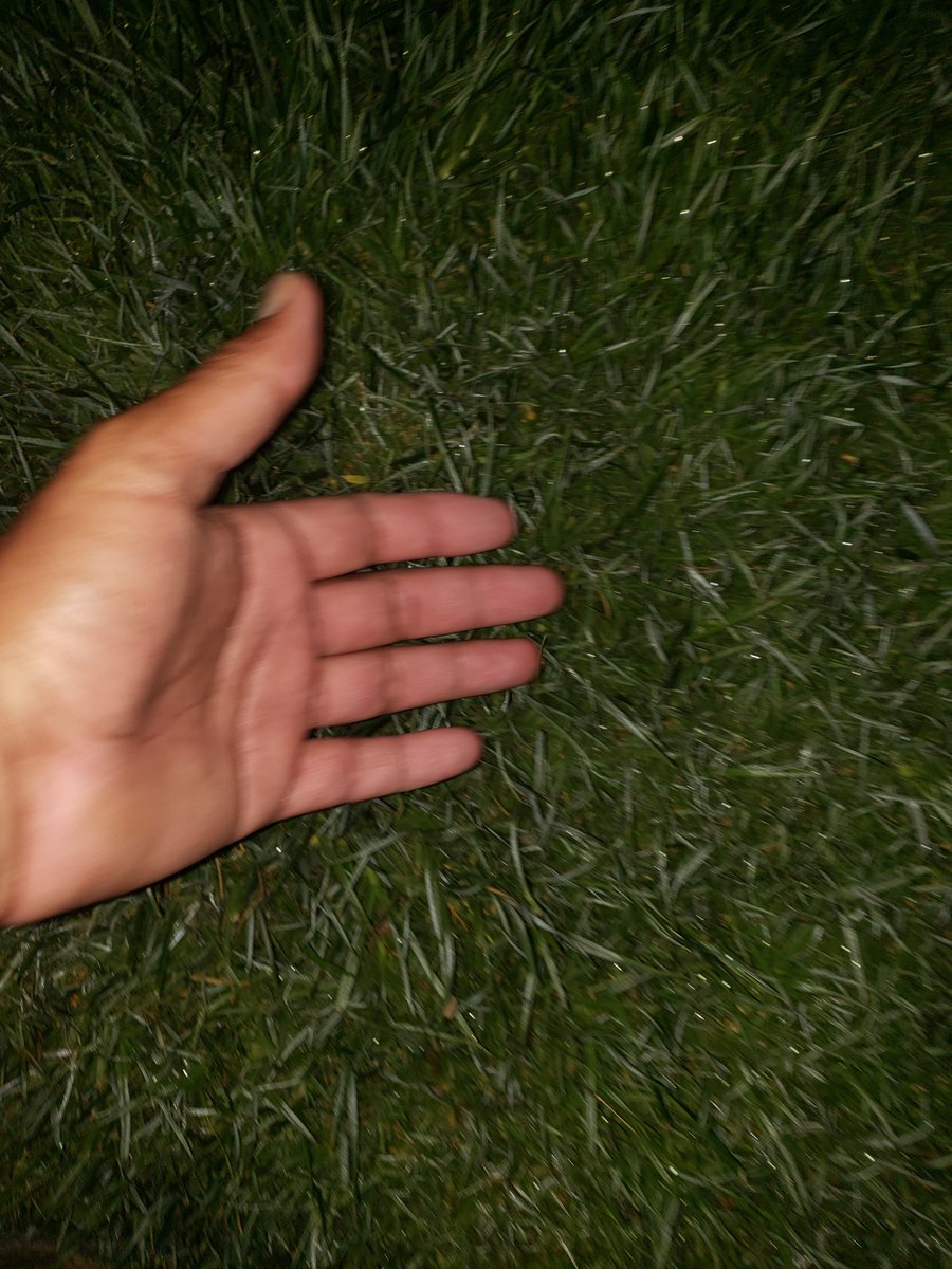 Jess aka Raider 🇺🇲🇺🇲🤘💯 tweet media