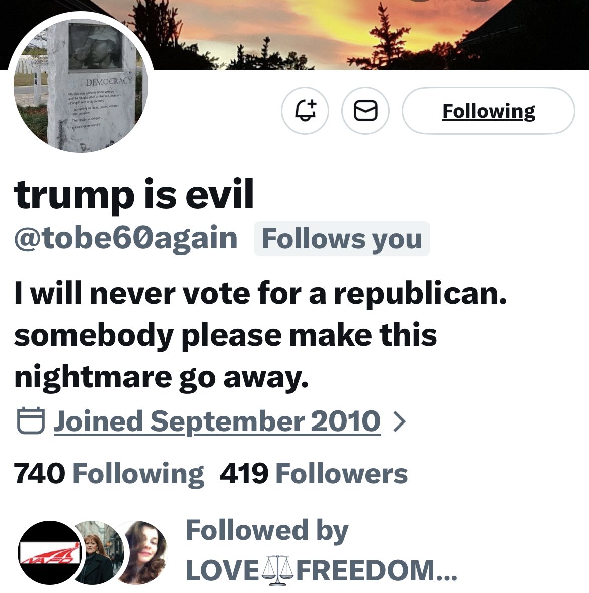 Turquoise Cat tweet media