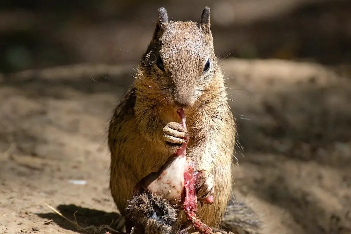 All day Astronomy tweet media