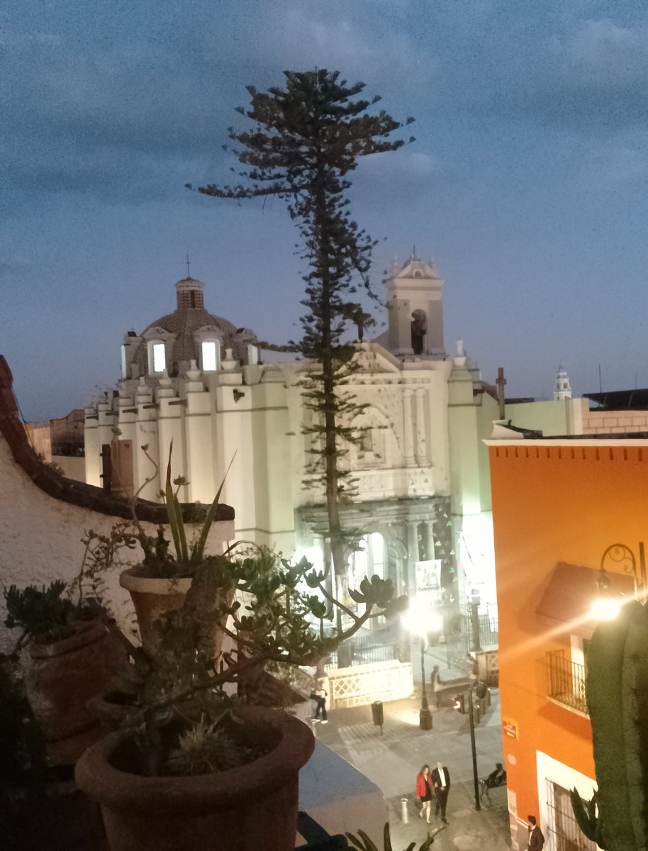 priesca1's tweet image. Pardea la tarde en la #terraza de #laquintadesanantonio #Puebla 🇲🇽