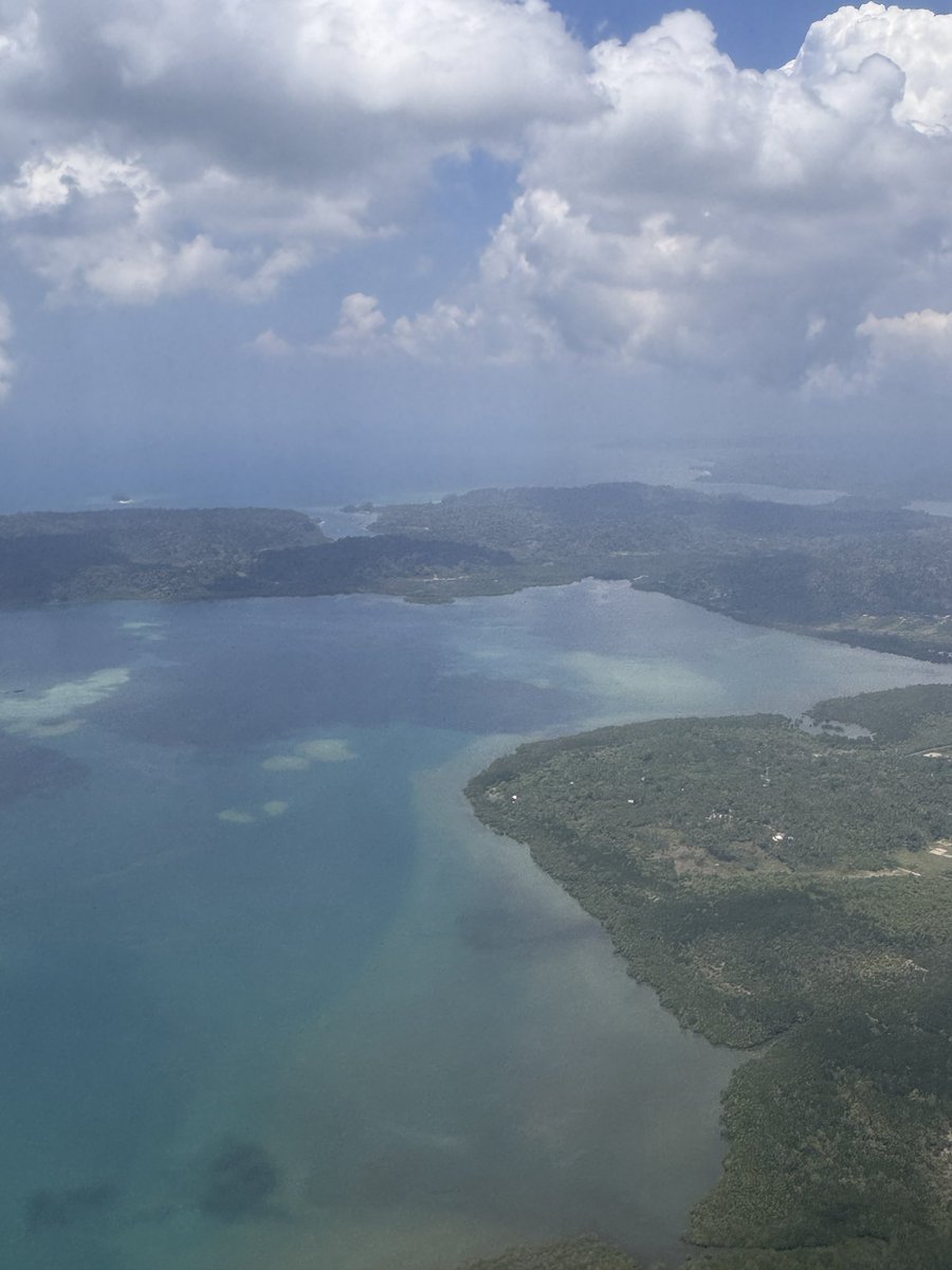 Professor Alok Kumar Rai tweet media