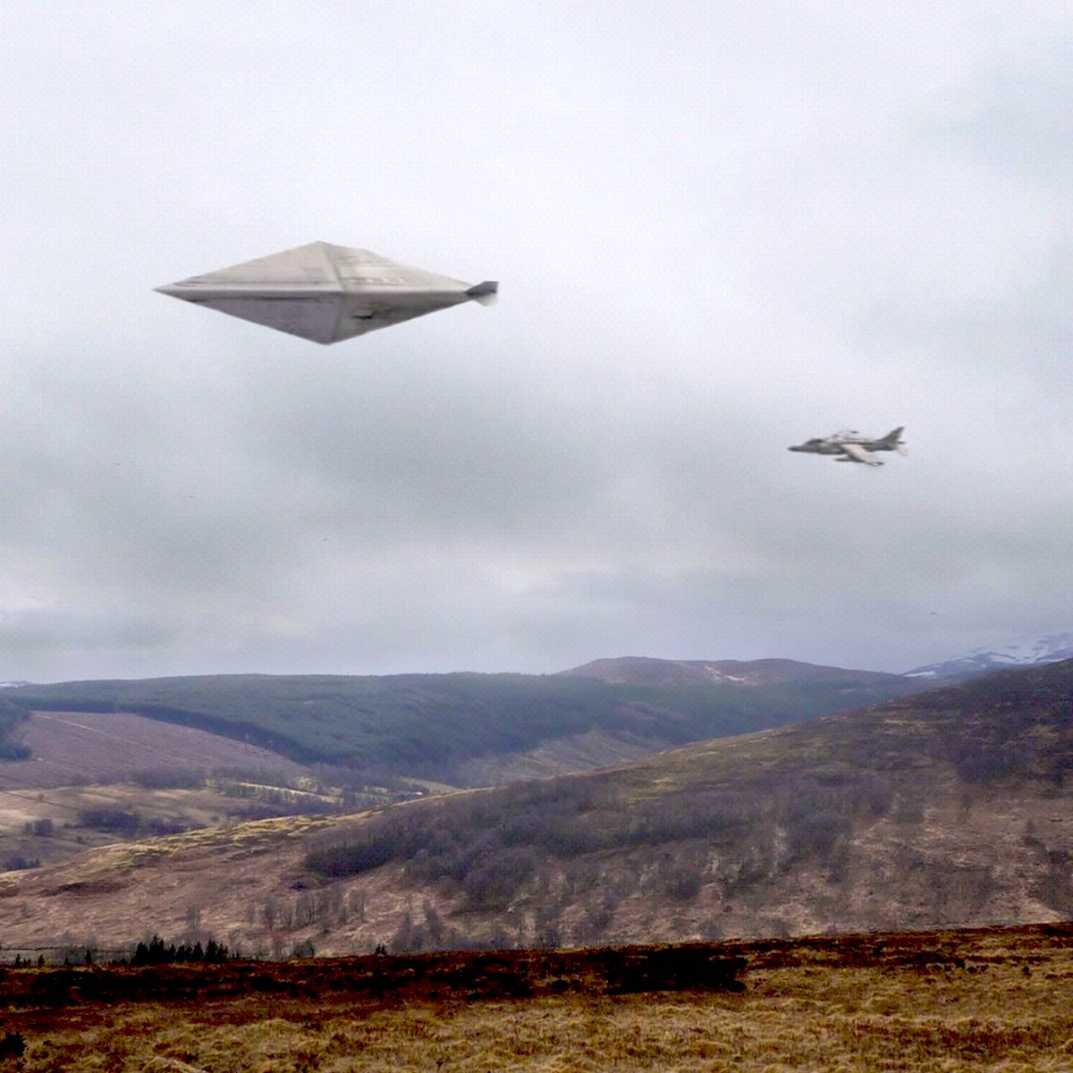 Dark Journalist tweet media