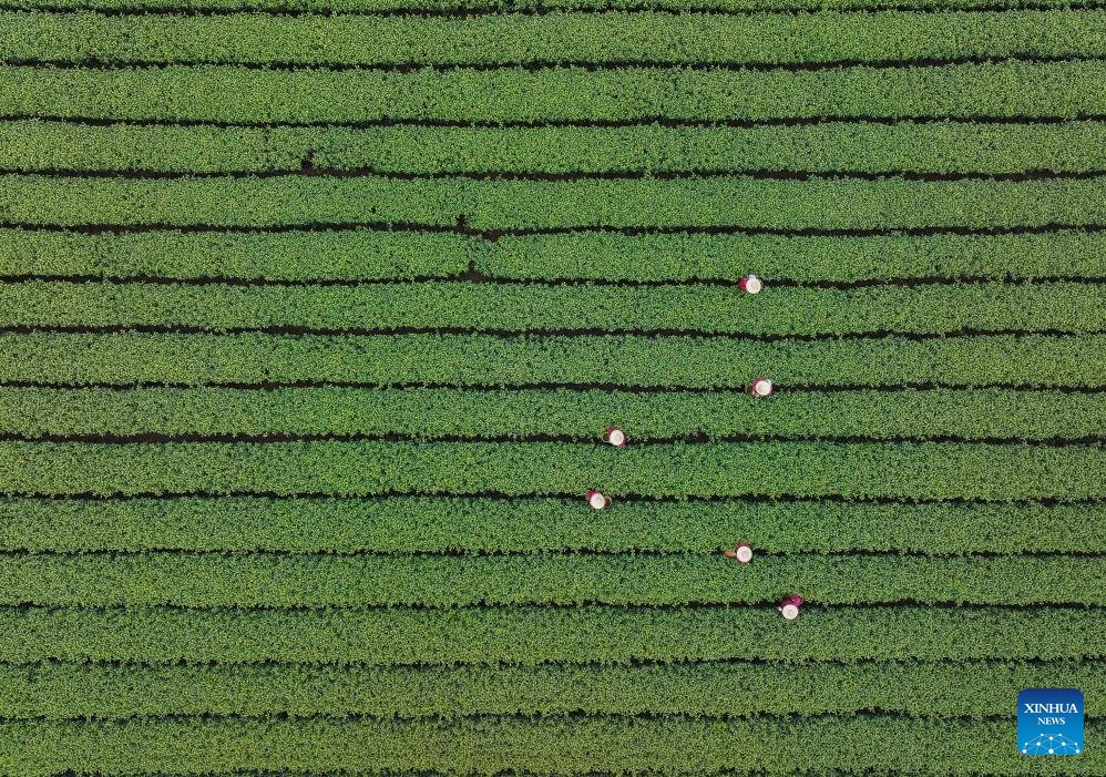 People'sDailyOnline Australia tweet media