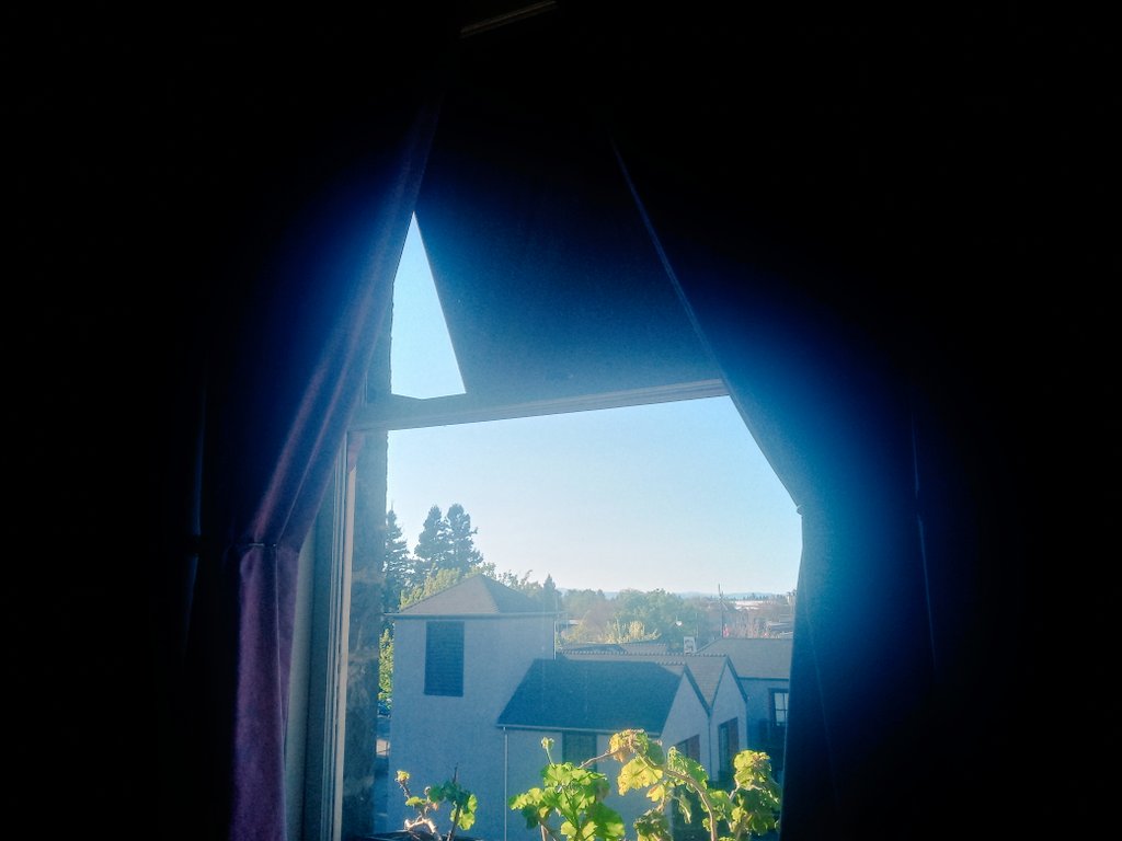 Kat The Red tweet media