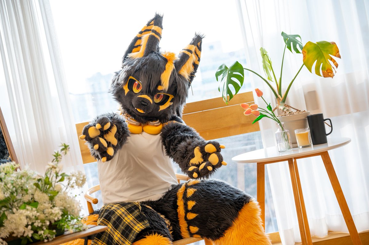 멍토/Rune 🔜 Furst Class tweet media