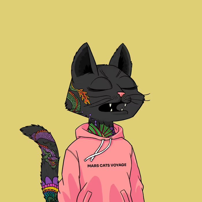 Reauxs 🌹 tweet media