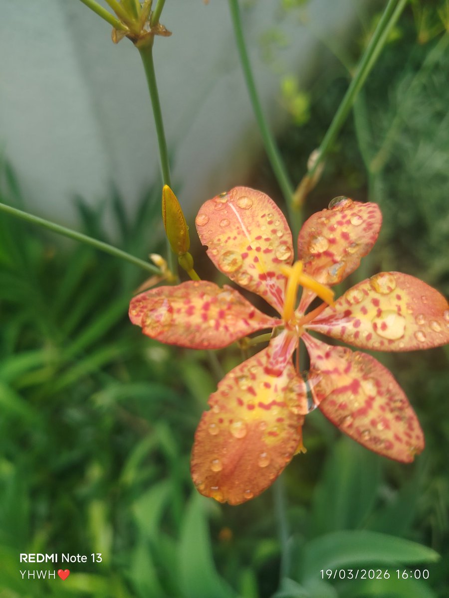 🇧🇷 Éricayhwh-QUEM ME GUARDA NÃO DORME.♥️🙏 tweet media