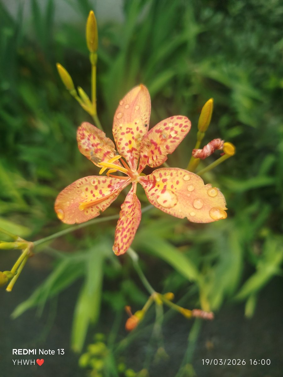 🇧🇷 Éricayhwh-QUEM ME GUARDA NÃO DORME.♥️🙏 tweet media