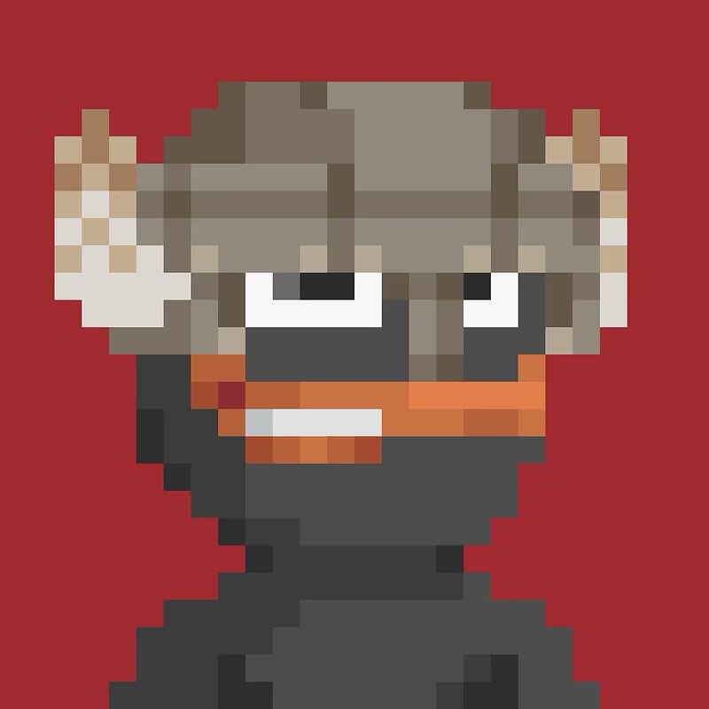 PepeNals | PEPE•OF•BITCOIN 🟧 tweet media