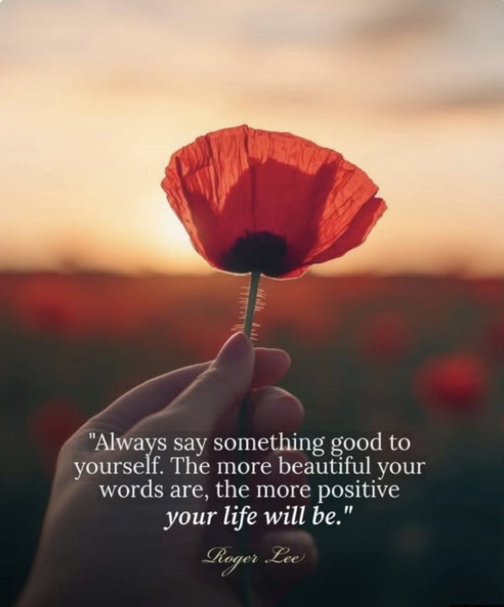 Twilight 💫💕 tweet media