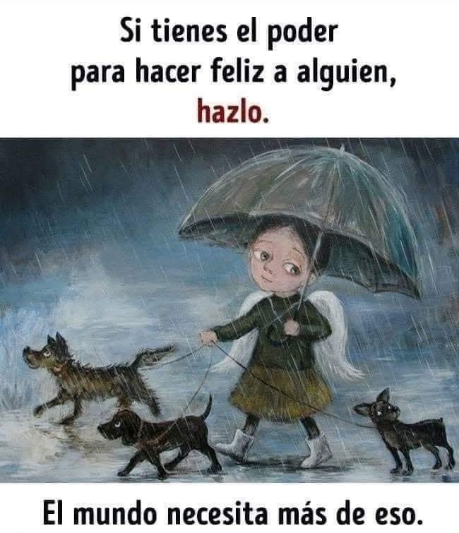 Ángeles tweet media