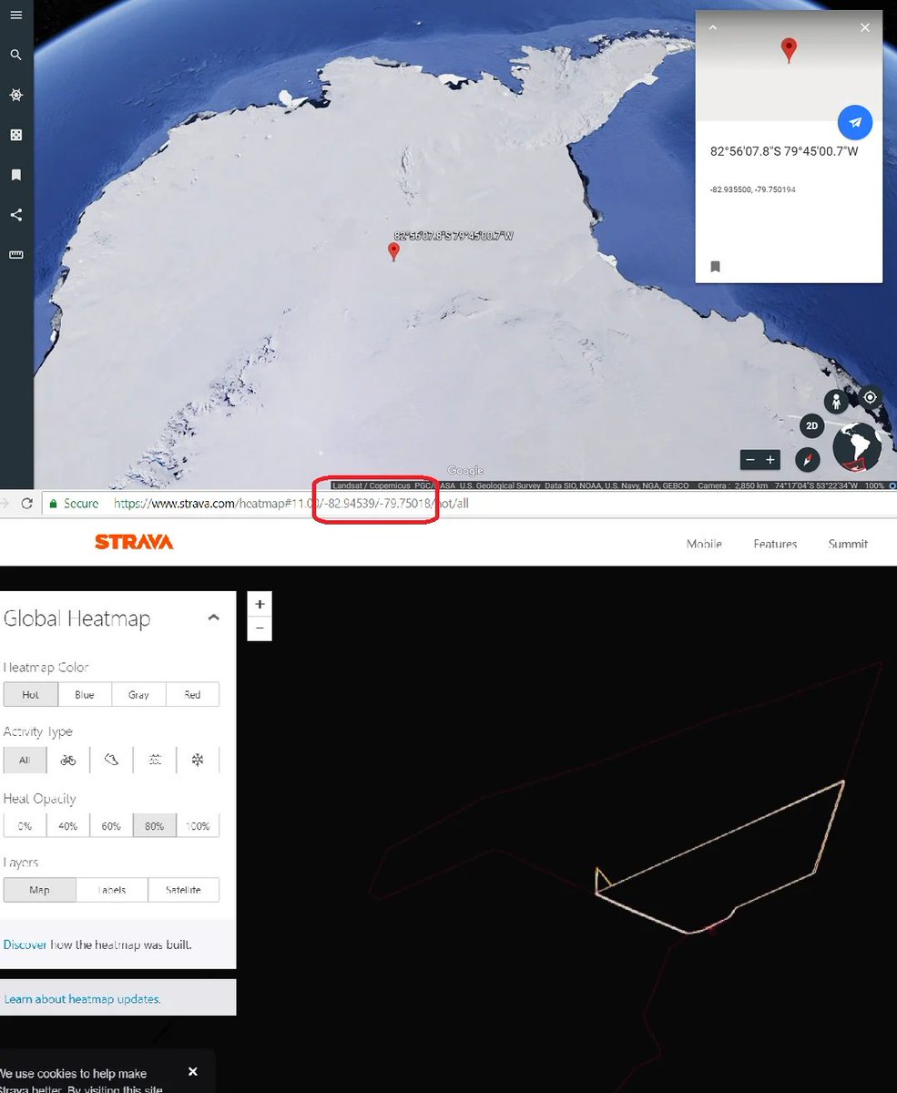 Asuka Groyper 🚬 tweet media