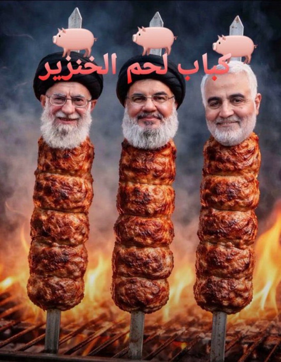 🇮🇷🇮🇱📟Horizontal Hasan📟🇮🇷🇺🇸 tweet media