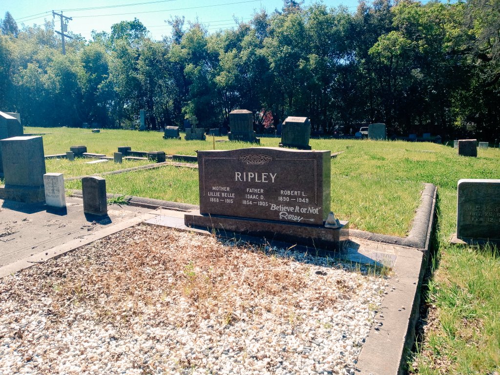 Kat The Red tweet media