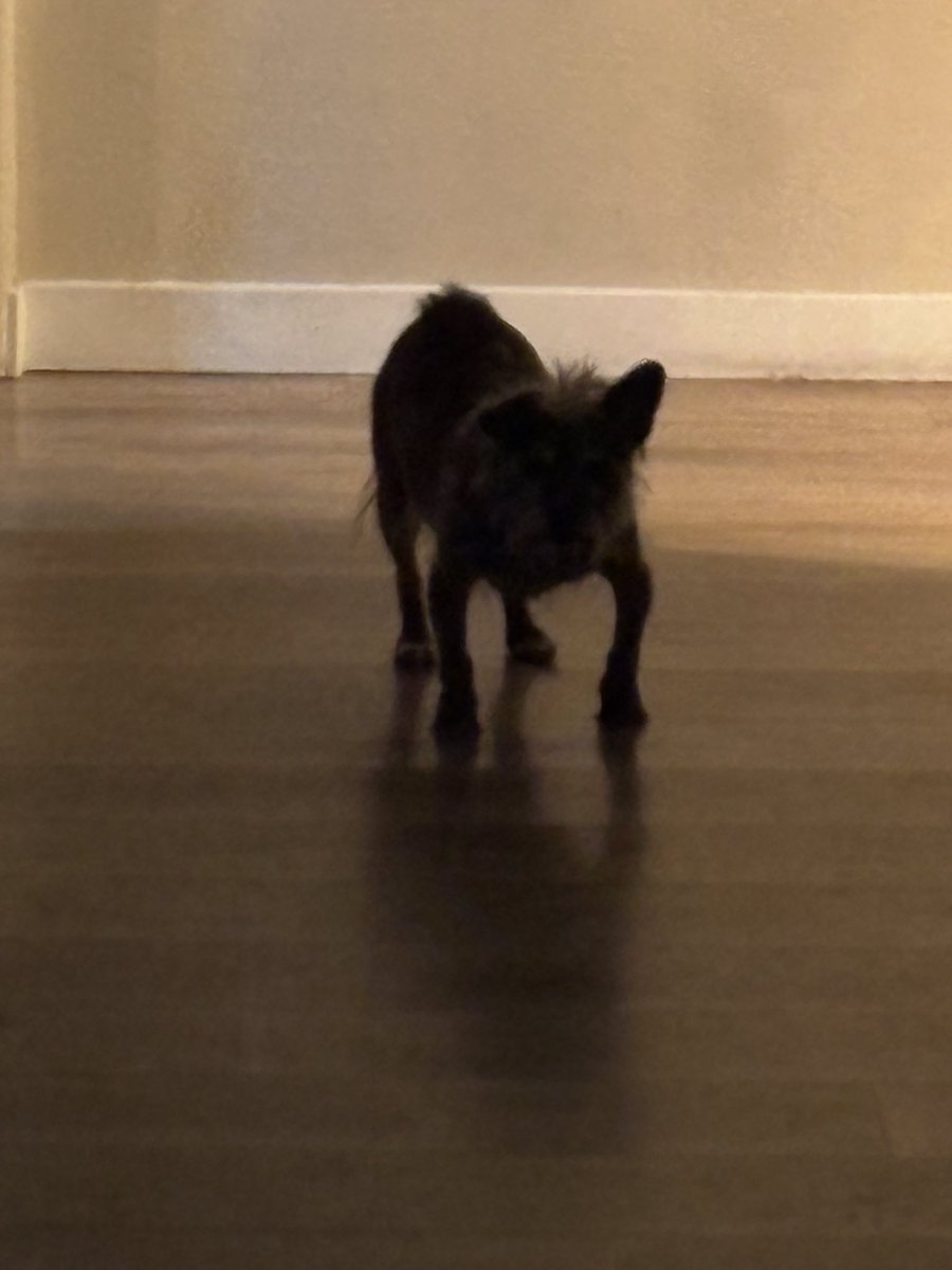 Imina | 🍪💝🎟️ tweet media