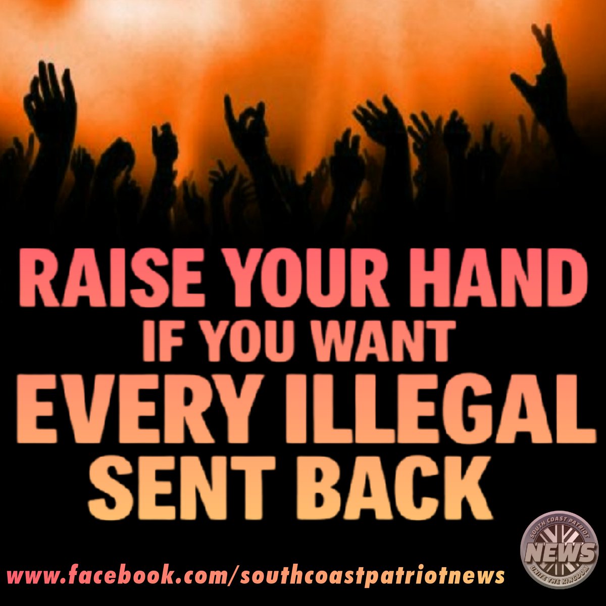 SouthCoastPatriotNews tweet media