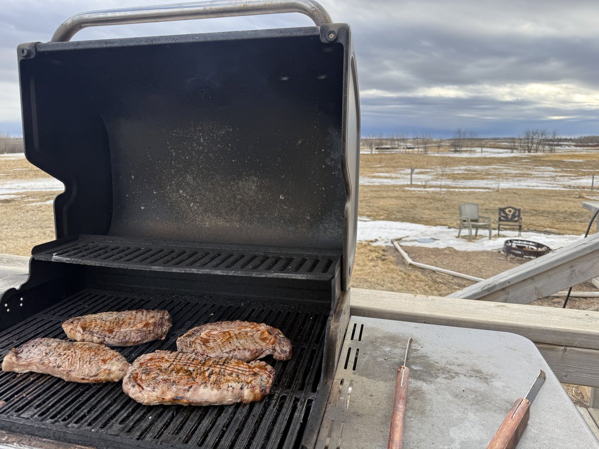 Sean McGrath tweet media