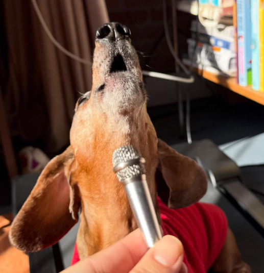 Mike.exe tweet media