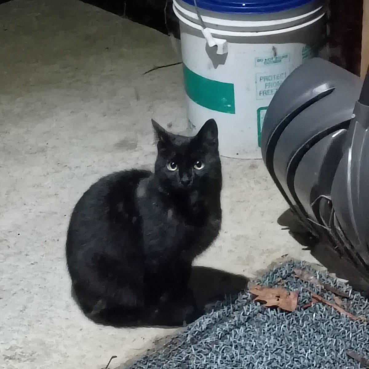 Dr. Christine Sarteschi, LCSW tweet media