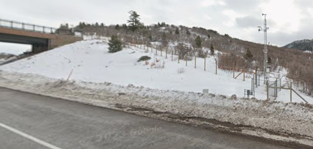 icpolicy tweet media