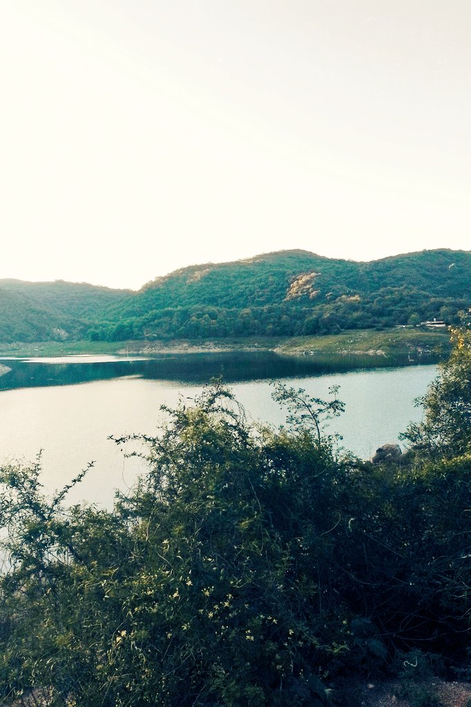 User tripaycoraz0n_ off twitter