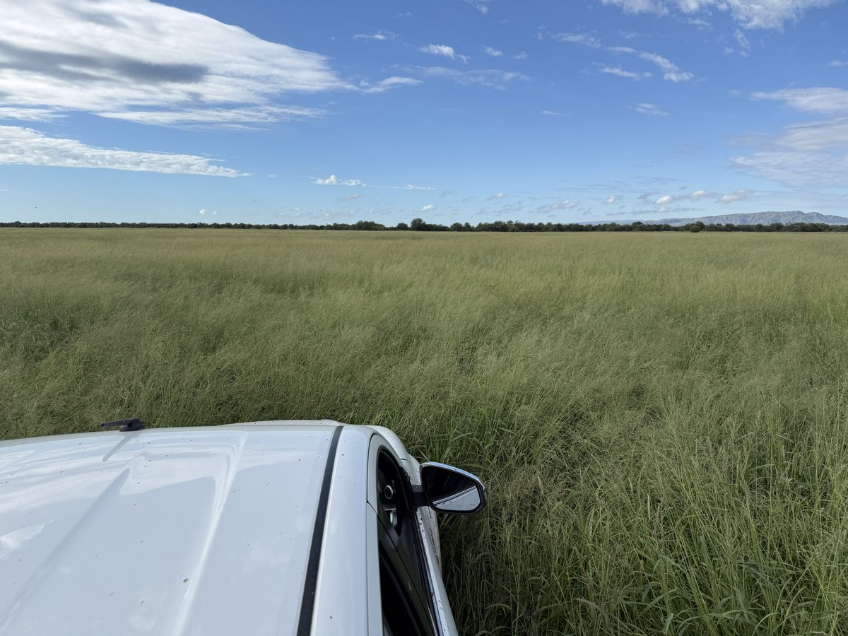 Osvaldo W. Luna 🌳🌾🐂 🇦🇷 tweet media