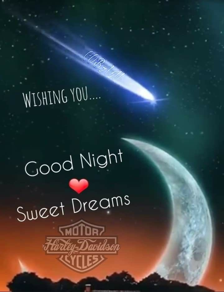 Harley Davidson tweet media