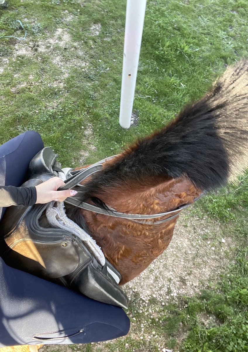 Alba Luque tweet media