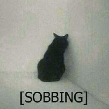 Neris_💬💤 tweet media