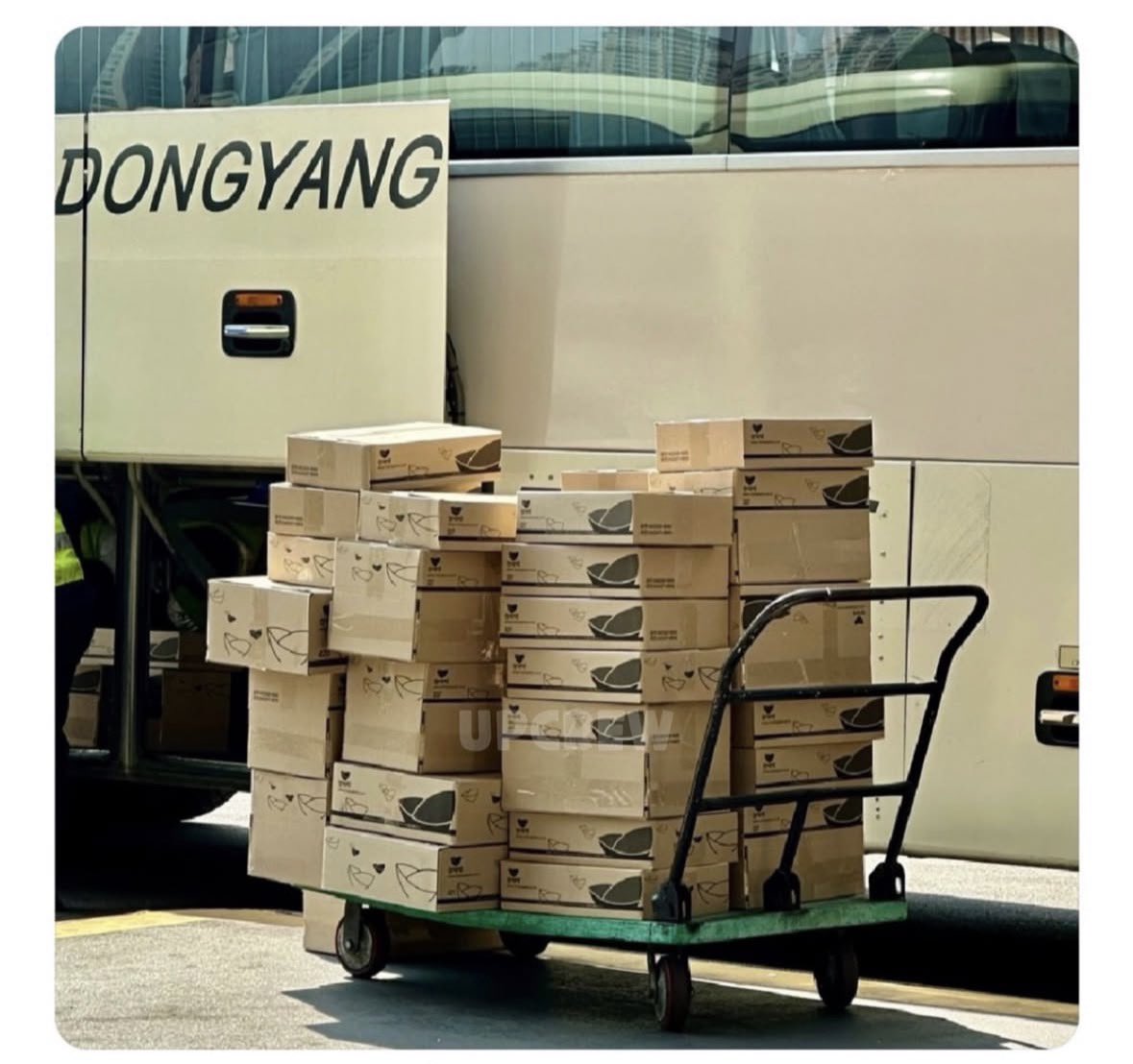 포케ㅣ✰ tweet media