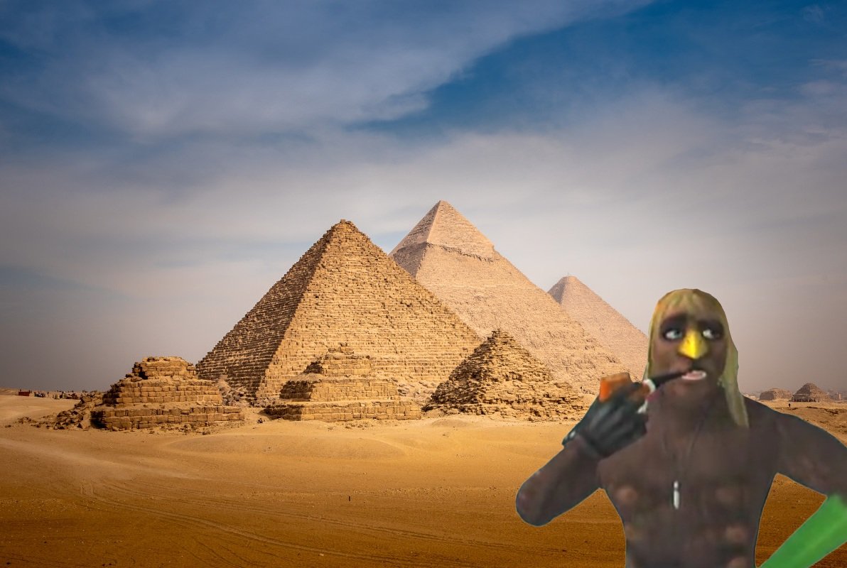 Lil' Maple tweet media