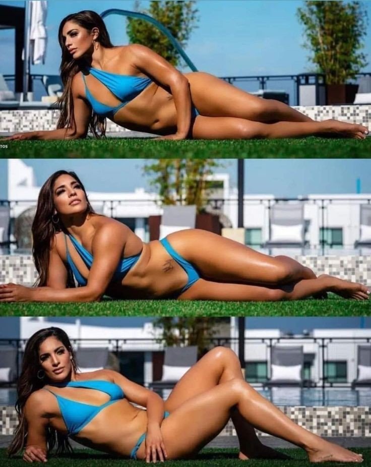 صور النساء المشاهير tweet media