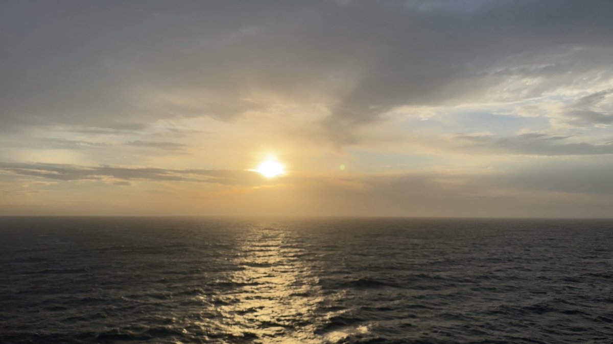 Lex Poleta tweet media