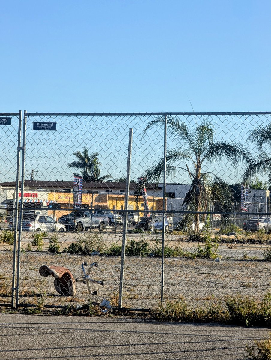 Sharon Anderson tweet media