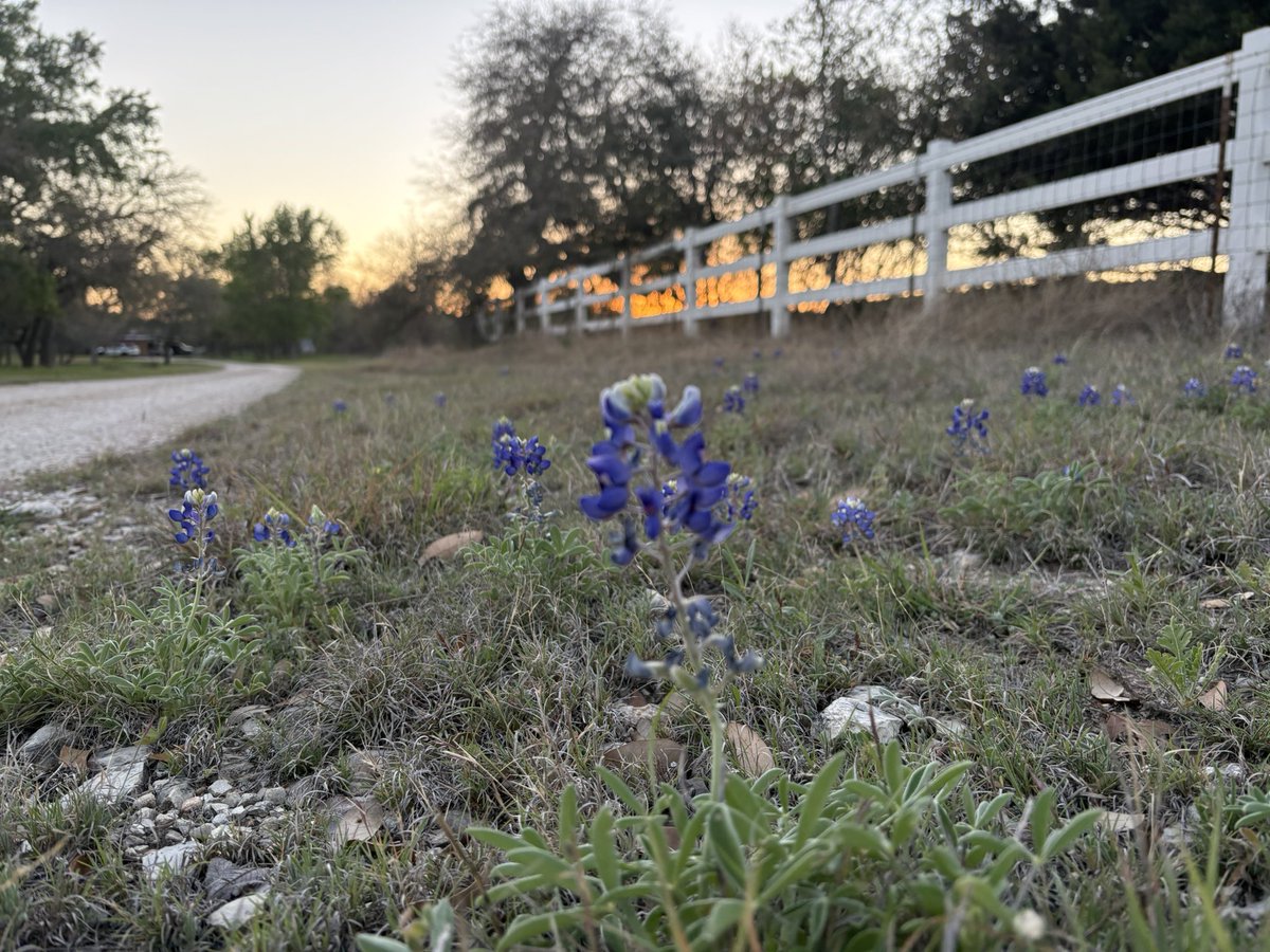 TheJustin tweet media