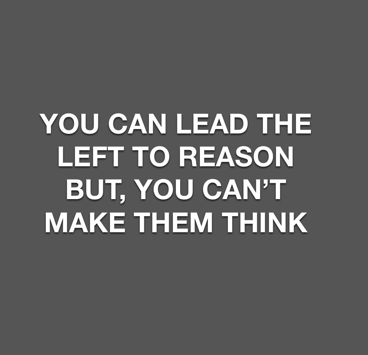 DiscursiveMe B.G.B (Hons). Liberal Fugitive. tweet media