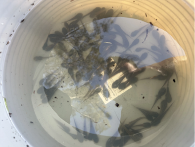 Environmental Water tweet media