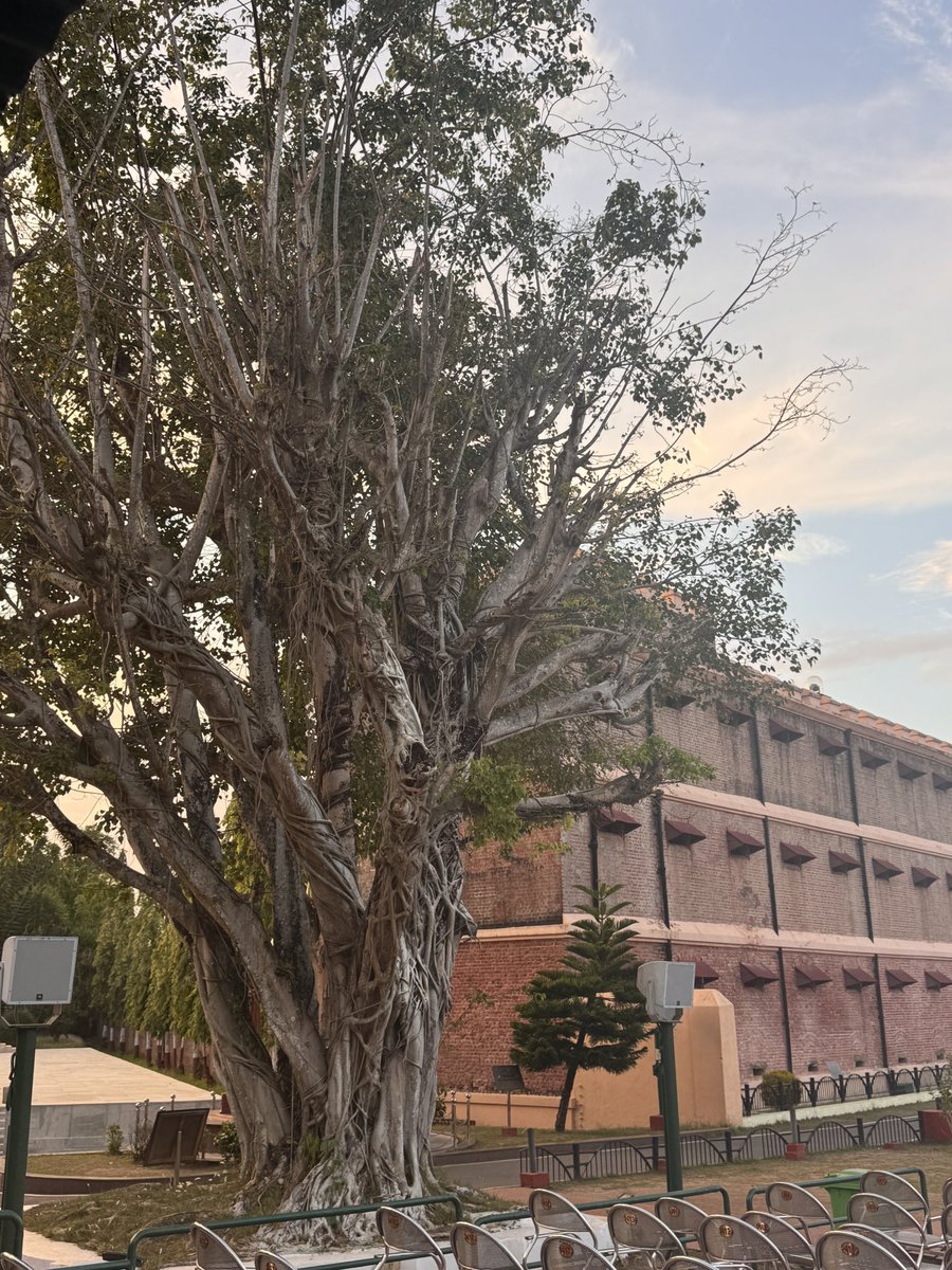 Professor Alok Kumar Rai tweet media