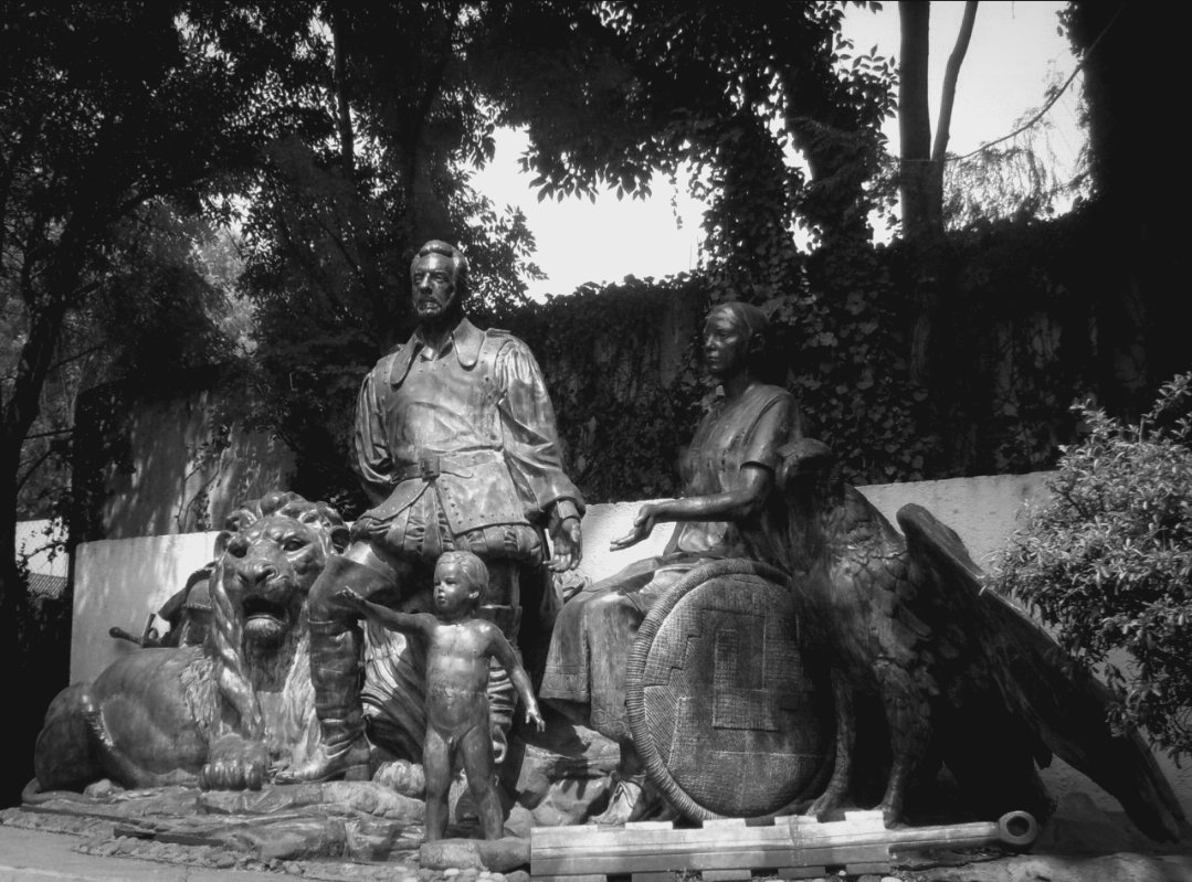 Based Taco 🌮 tweet media