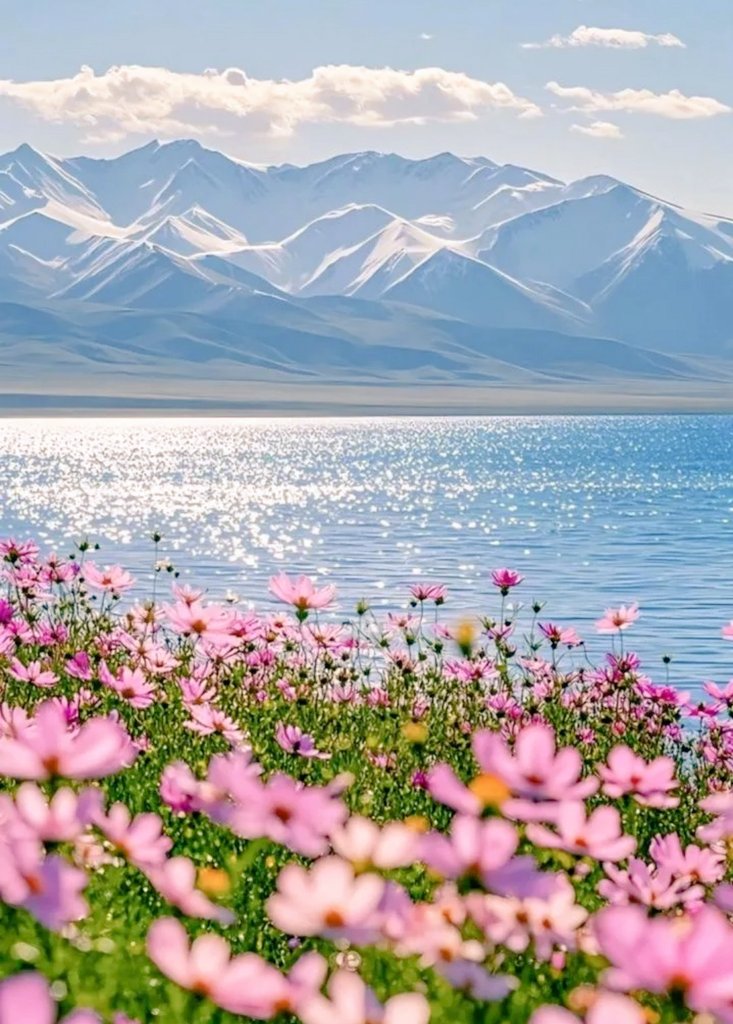 Satyendra Tiwari tweet media