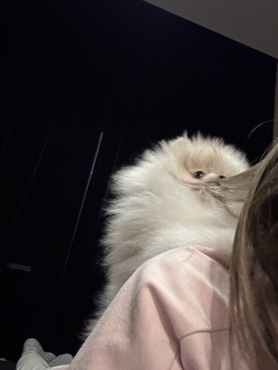 髪むしゃむしゃ
