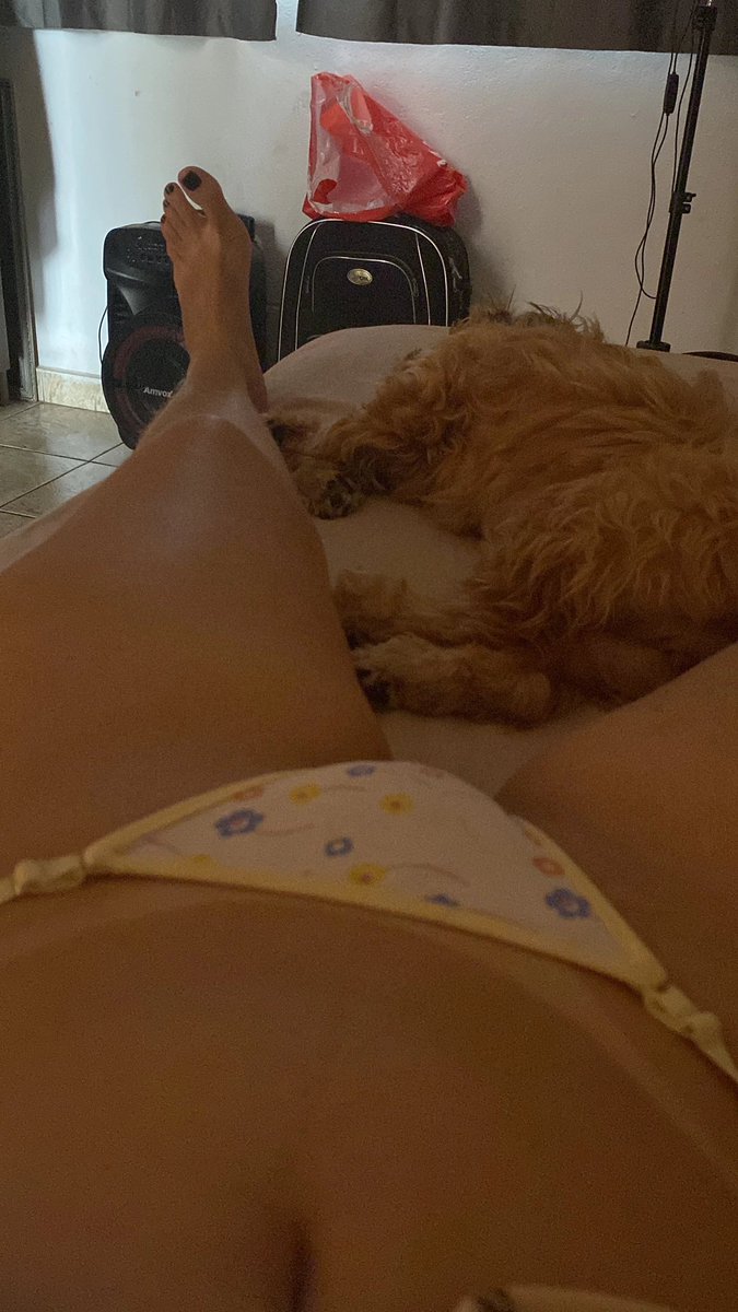 chloe ✦ tweet media